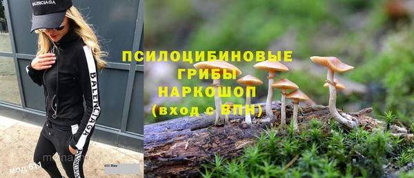 трава Нестеровская