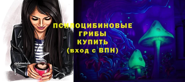 apvp Медногорск